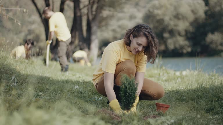 Lawn Renovation and Restoration in Lacoochee, FL