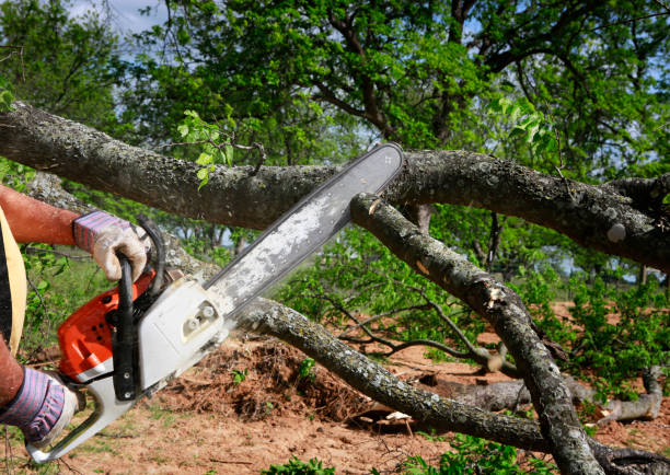 Lawn Irrigation Installation and Maintenance in Lacoochee, FL